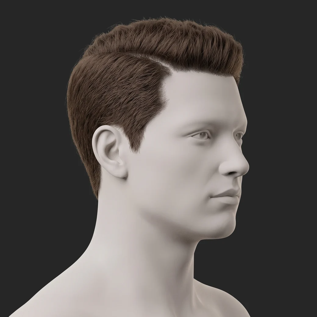 Crew Cut, perfil 3/4